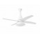 Ventilador de techo WIND