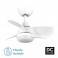 VENTILADOR PIRDO